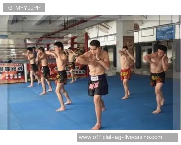 少林功夫与泰拳的对决：传统武术与现代搏击的碰撞与较量